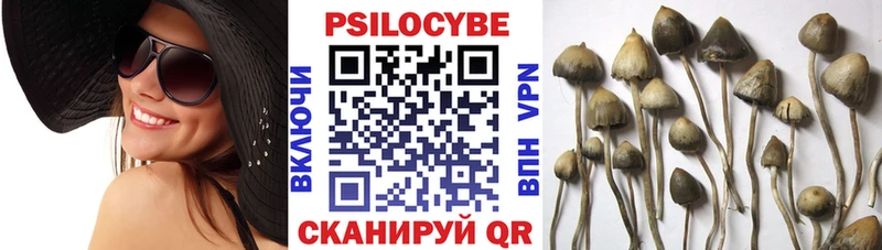 mega зеркало  Куйбышев  Галлюциногенные грибы Cubensis 