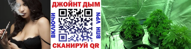 Конопля гибрид Куйбышев